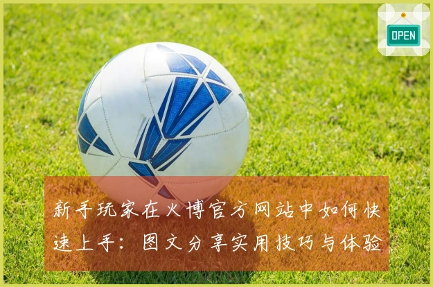 新手玩家在火博官方网站中如何快速上手：图文分享实用技巧与体验反思